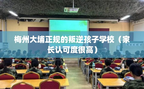 梅州大埔正规的叛逆孩子学校(家长认可度很高) 梅州大埔正规的叛逆孩子学校(家长认可度很高)