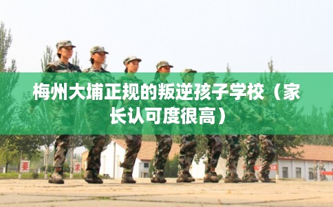梅州大埔正规的叛逆孩子学校(家长认可度很高) 梅州大埔正规的叛逆孩子学校(家长认可度很高)