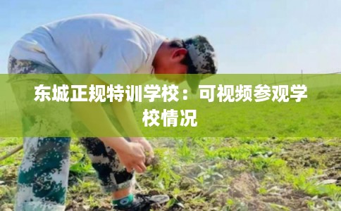 东城正规特训学校：可视频参观学校情况