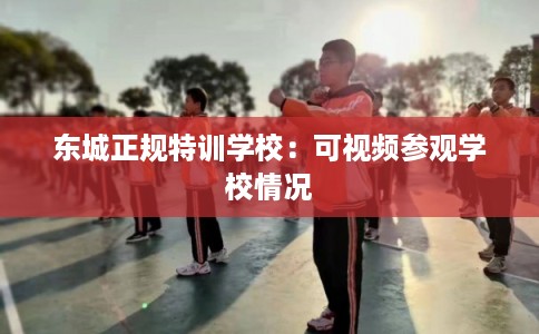 东城正规特训学校：可视频参观学校情况
