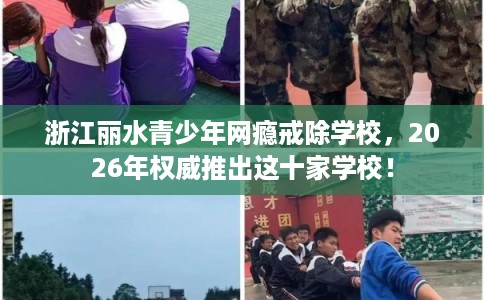 浙江丽水青少年网瘾戒除学校，2026年权威推出这十家学校！