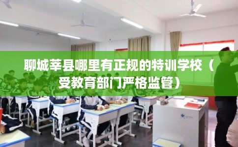 聊城莘县哪里有正规的特训学校（受教育部门严格监管）