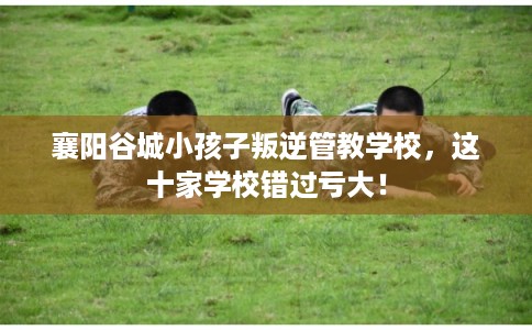 襄阳谷城小孩子叛逆管教学校，这十家学校错过亏大！