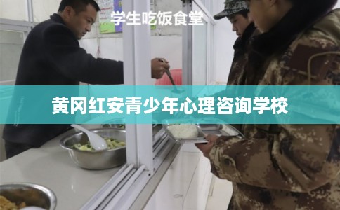 黄冈红安青少年心理咨询学校