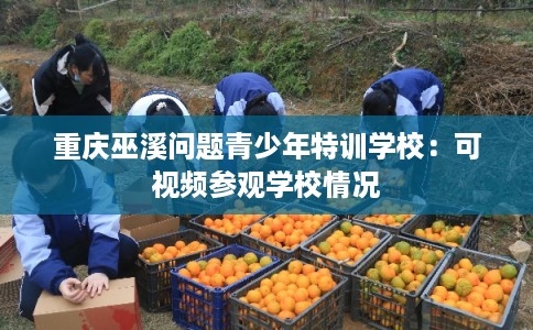 重庆巫溪问题青少年特训学校：可视频参观学校情况
