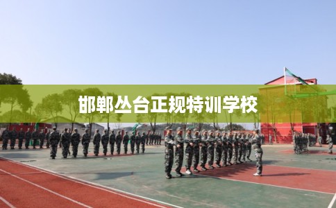 邯郸丛台正规特训学校