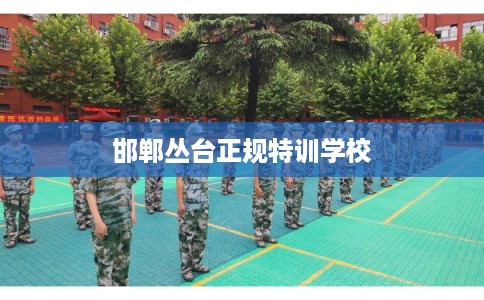 邯郸丛台正规特训学校