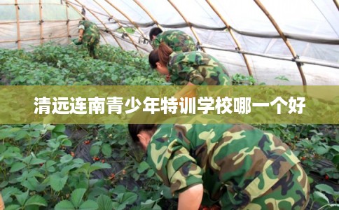 清远连南青少年特训学校哪一个好