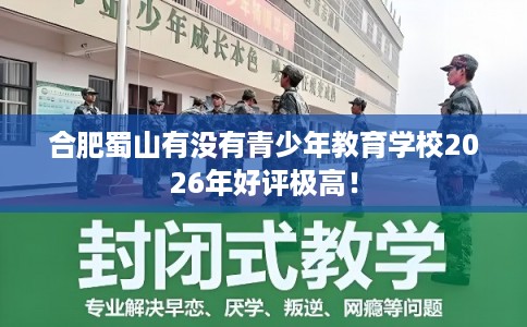 合肥蜀山有没有青少年教育学校2026年好评极高！