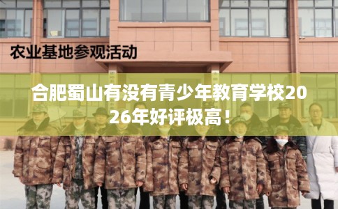 合肥蜀山有没有青少年教育学校2026年好评极高！