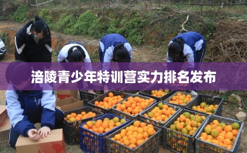 涪陵青少年特训营实力排名发布