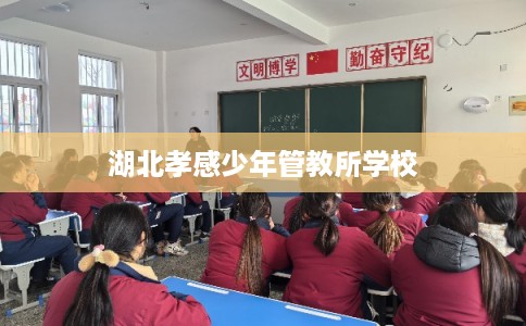 湖北孝感少年管教所学校