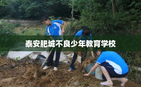 泰安肥城不良少年教育学校