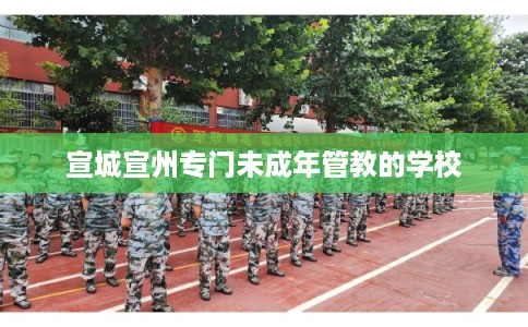 宣城宣州专门未成年管教的学校