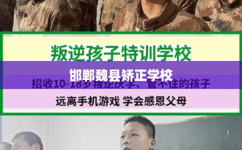 邯郸魏县矫正学校