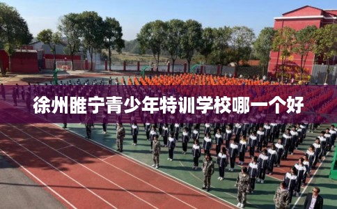 徐州睢宁青少年特训学校哪一个好