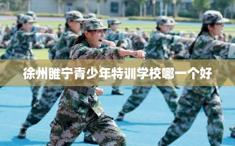 徐州睢宁青少年特训学校哪一个好