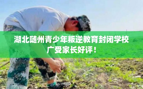 湖北随州青少年叛逆教育封闭学校广受家长好评！