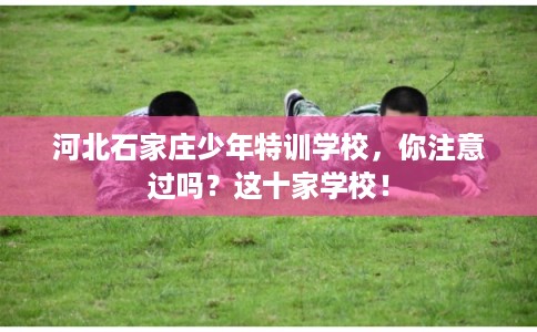 河北石家庄少年特训学校，你注意过吗？这十家学校！