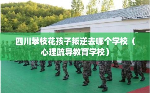 四川攀枝花孩子叛逆去哪个学校（心理疏导教育学校）