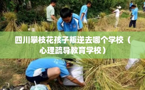 四川攀枝花孩子叛逆去哪个学校（心理疏导教育学校）