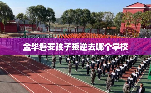 金华磐安孩子叛逆去哪个学校