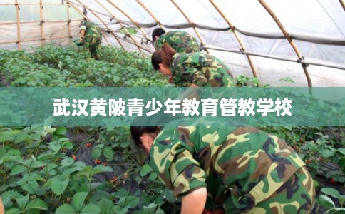 武汉黄陂青少年教育管教学校