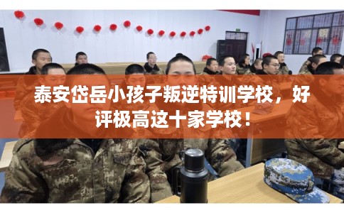 泰安岱岳小孩子叛逆特训学校，好评极高这十家学校！