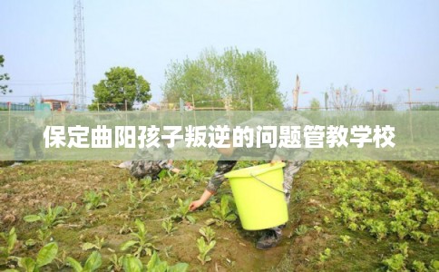 保定曲阳孩子叛逆的问题管教学校