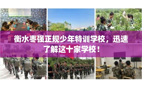 衡水枣强正规少年特训学校，迅速了解这十家学校！