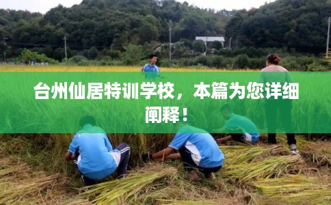 台州仙居特训学校，本篇为您详细阐释！