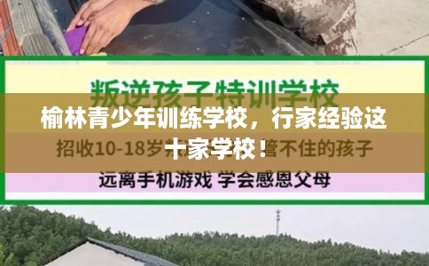 榆林青少年训练学校，行家经验这十家学校！