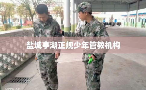 盐城亭湖正规少年管教机构