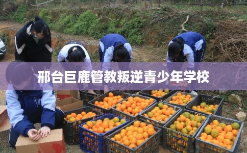 邢台巨鹿管教叛逆青少年学校 邢台巨鹿管教叛逆青少年学校