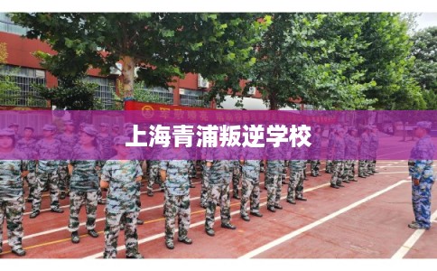 上海青浦叛逆学校