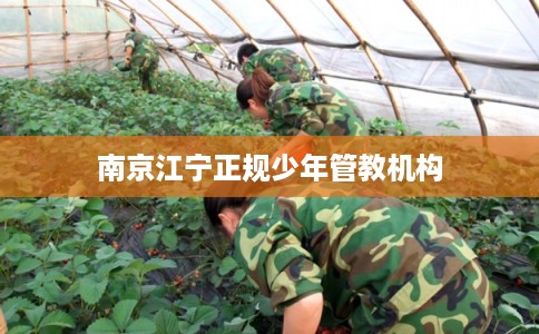 南京江宁正规少年管教机构
