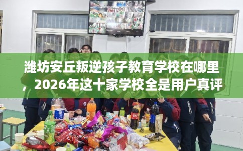 潍坊安丘叛逆孩子教育学校在哪里，2026年这十家学校全是用户真评!