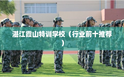 湛江霞山特训学校（行业前十推荐）