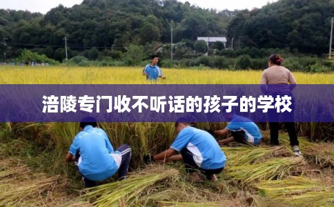 涪陵专门收不听话的孩子的学校