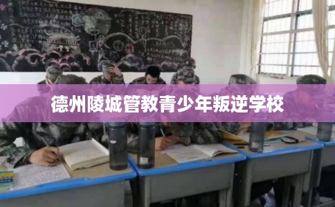 德州陵城管教青少年叛逆学校