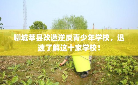 聊城莘县改造逆反青少年学校，迅速了解这十家学校！