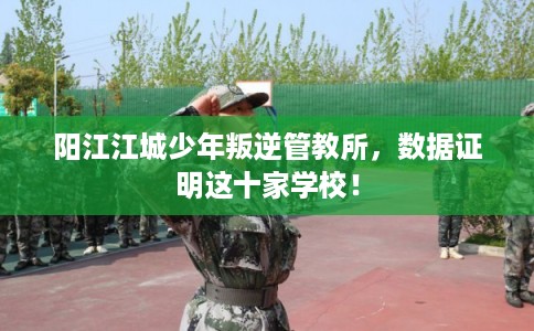 阳江江城少年叛逆管教所，数据证明这十家学校！