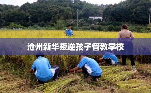 沧州新华叛逆孩子管教学校