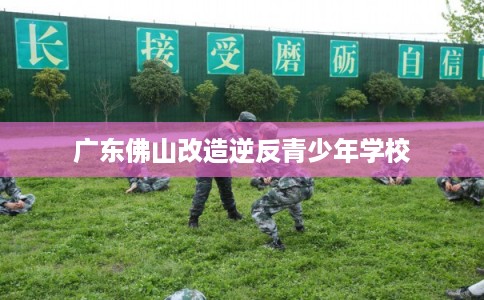 广东佛山改造逆反青少年学校