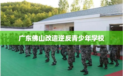 广东佛山改造逆反青少年学校
