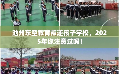 池州东至教育叛逆孩子学校,2025年你注意过吗! 池州东至教育叛逆孩子学校,2025年你注意过吗!