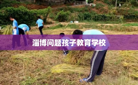 淄博问题孩子教育学校