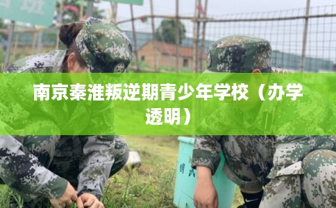 南京秦淮叛逆期青少年学校（办学透明）