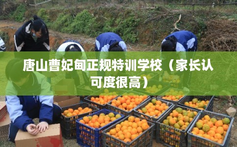 唐山曹妃甸正规特训学校（家长认可度很高）