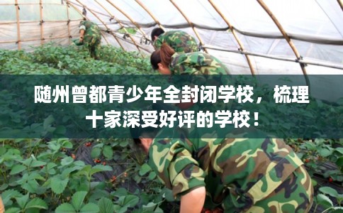 随州曾都青少年全封闭学校，梳理十家深受好评的学校！